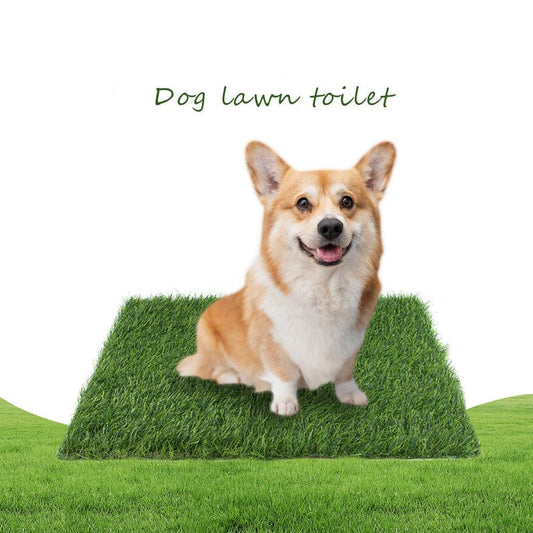 Pet Lawn Mat – Washable Dog Floor Mat, Fixed Point Nest, Comfortable and Durable