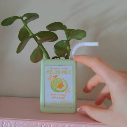 Juice Box-Shaped Flower Pot