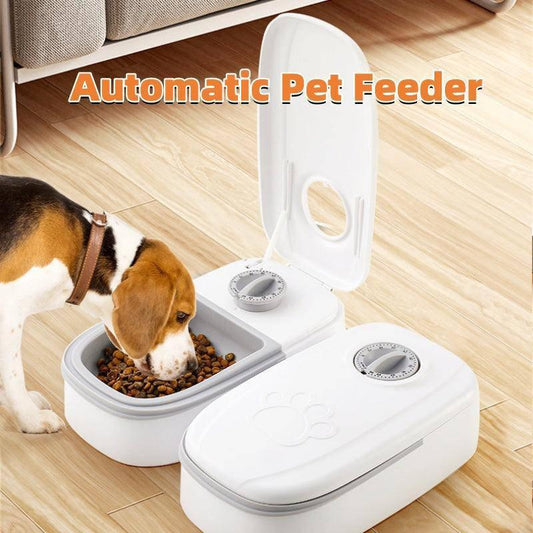 Automatic Pet Feeder Smart Food Dispenser For Cats Dogs Timer Stainless Steel Bowl Auto Dog Cat Pet Feeding Pets Supplies - TrendLifted